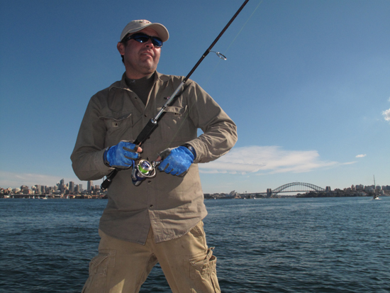 Sydney snapper add to Sebile tally